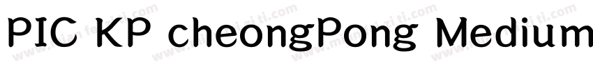 PIC KP cheongPong Medium Kp 97KPS字体转换